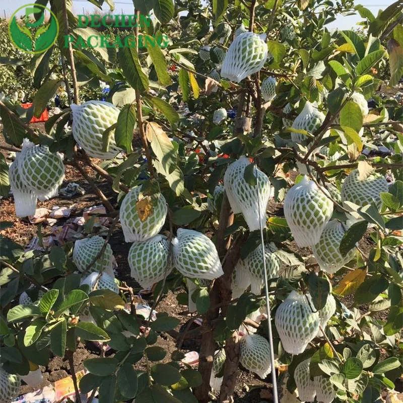 Foam Net for Guava Wholesale Price