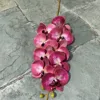Rosa Roja