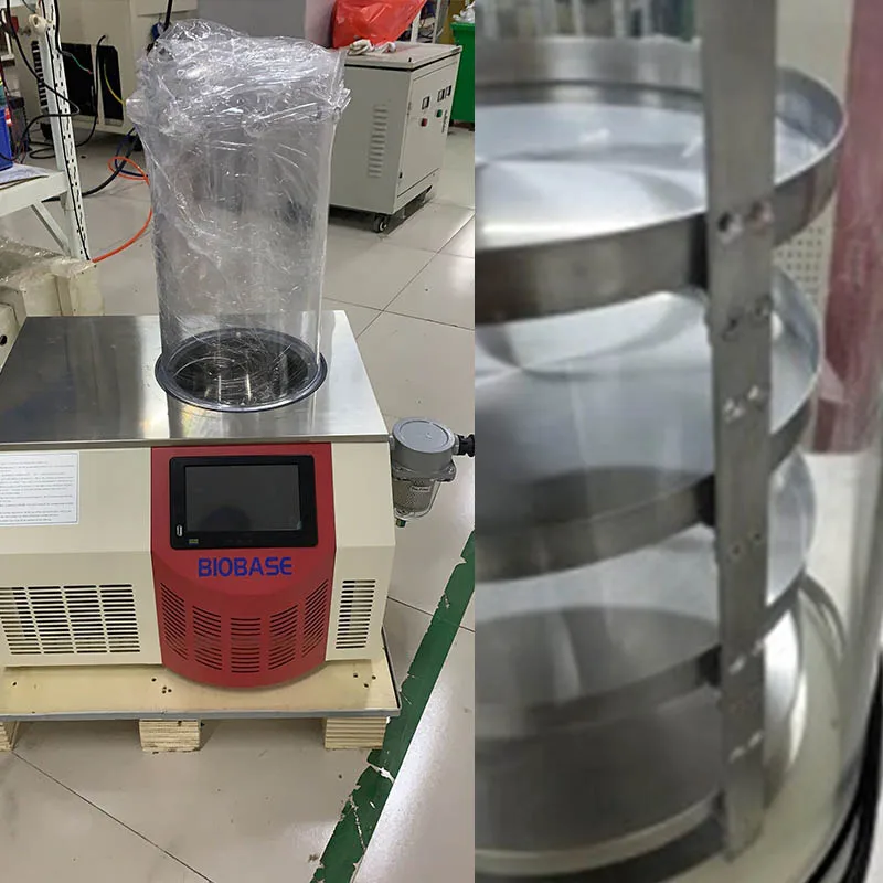 HNZXIB FD-01 Laboratory/Home Vacuum Freeze Dryer with Efficient