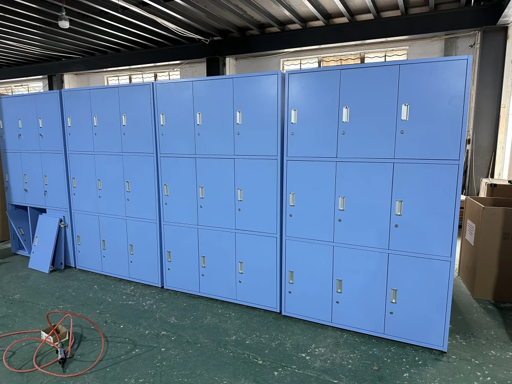 School Medical Lab Laboratory Furniture Wardrobe Steel Cabinet Clothes Powder Coated Steel Storage Lockers