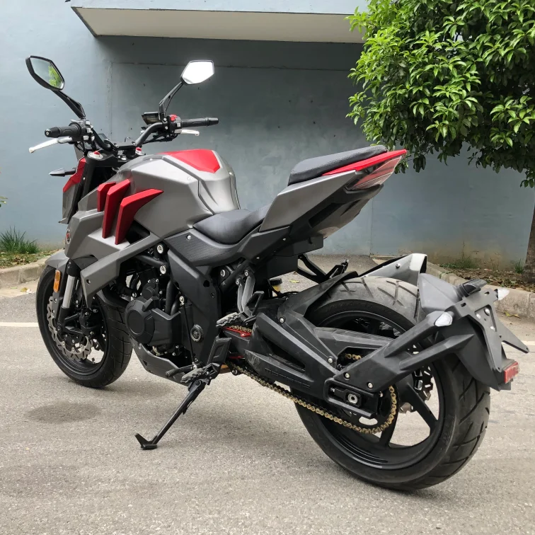 Strong Power High Speed 300 CC 500 CC  EFI  Water Cooilng Engine Gas Engine Gasoline Sport Racing Motorcycle