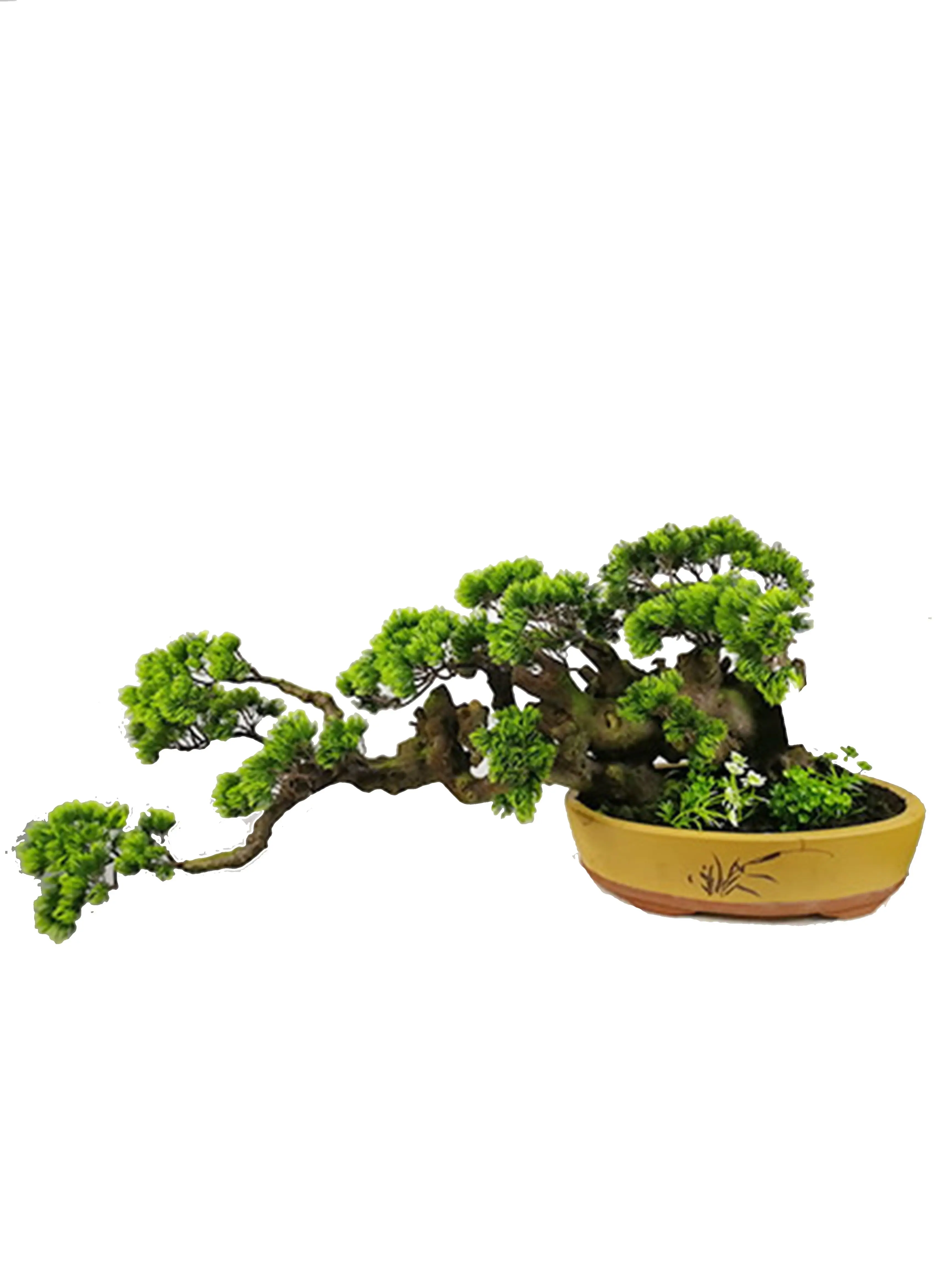 高品质人造植物迎宾松盆景树顶级销售植物装饰室内室外 buy bonsai