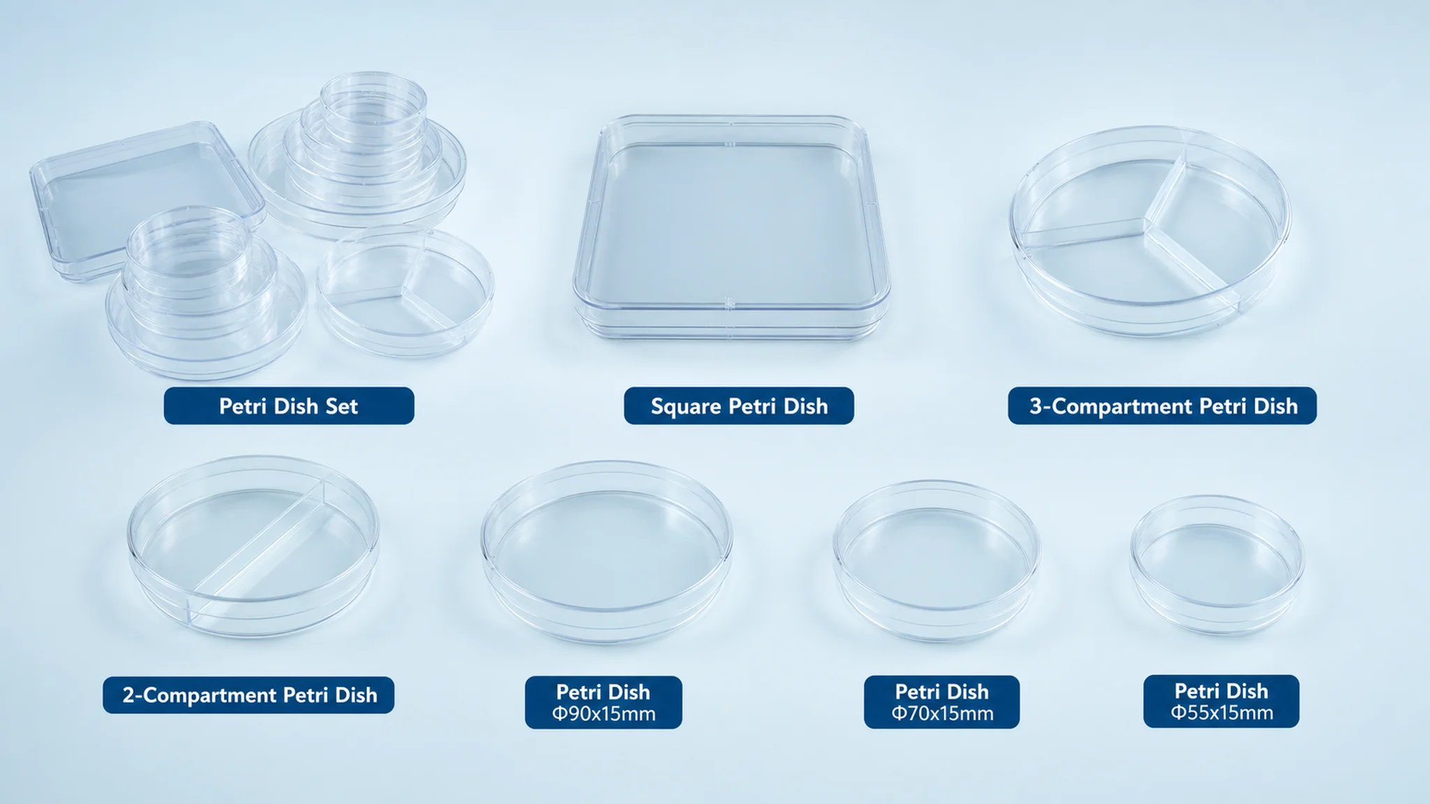 two compartment petri dish two compartment petri dish