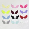 Angel Wings - 16 Pics