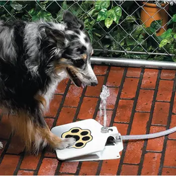 Automatic drinking fountain / dog use