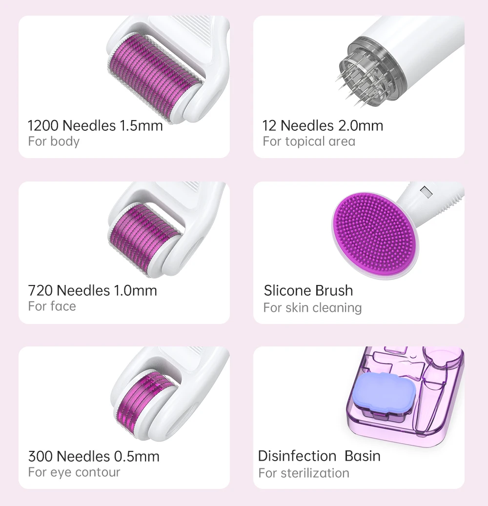 Derma Rolling System Microneedling Kits Drs 6in1 Roller in Different Size for Beauty and Care Home Use