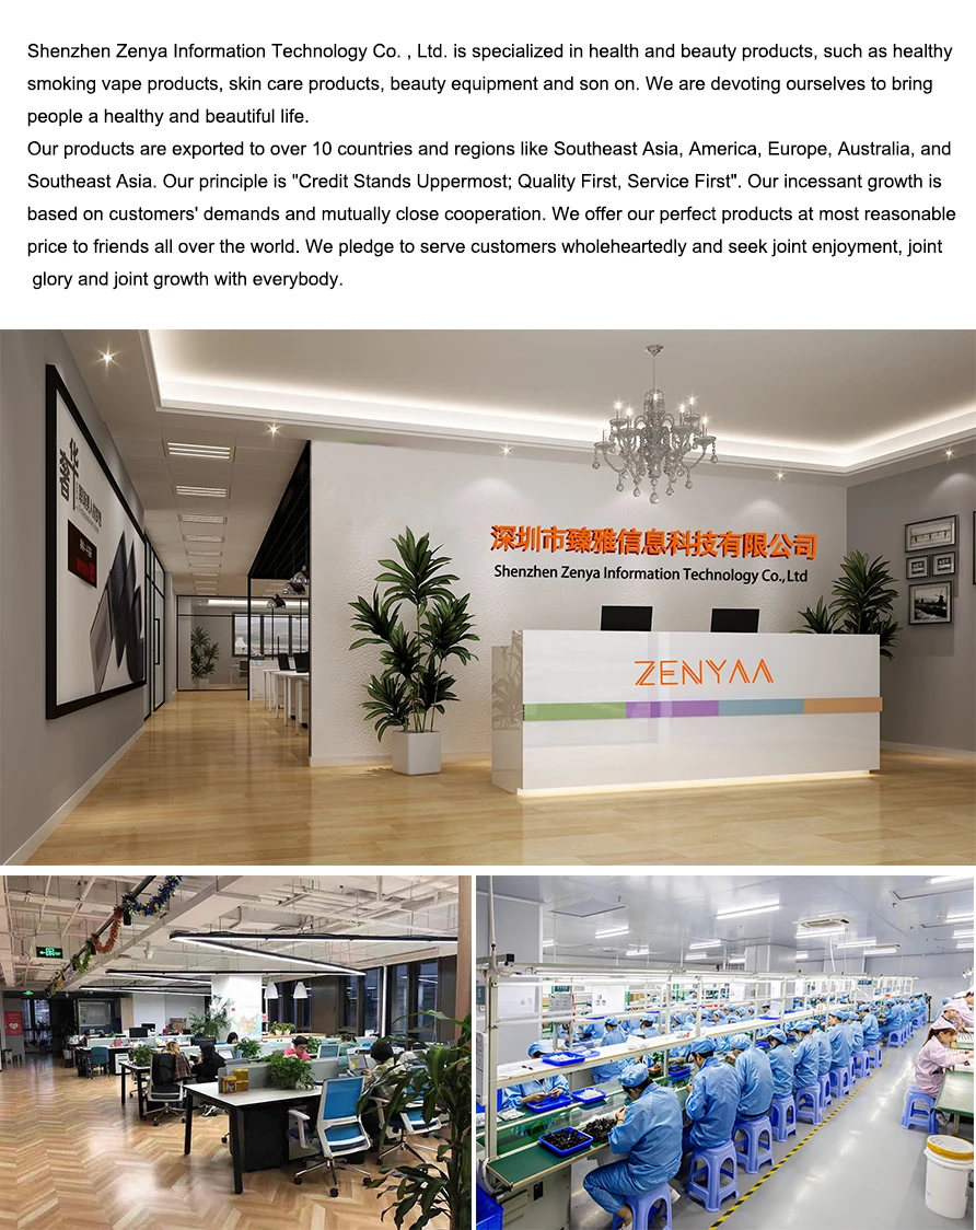company introduction