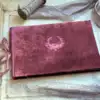 Viola