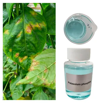 LIQUID FERTILIZER POTASSIUM PHOSPHITE FOLIAR FERTILIZER SUITABLE for FIELD CROPS