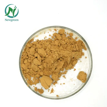 Wholesale High Quality Pumpkin Seed Extract Powder 10:1 20:1 30:1 Pumpkin Seed Extract