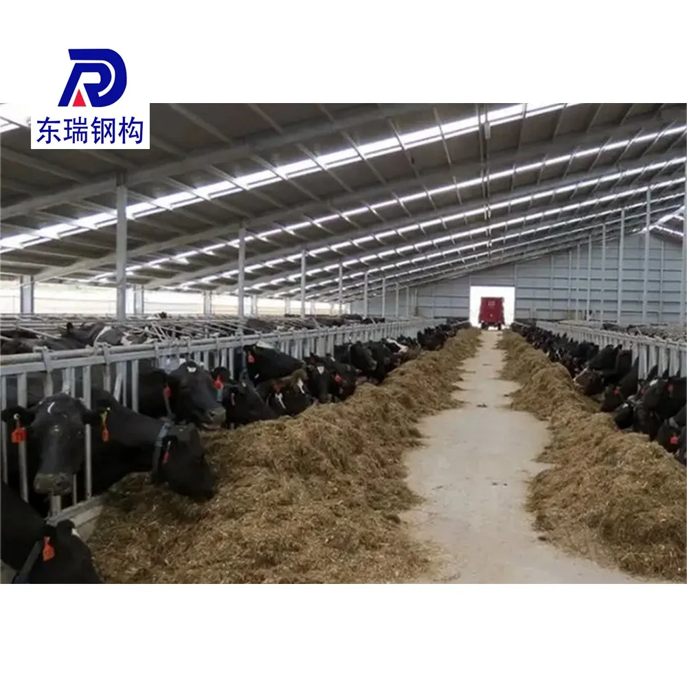 Modern Cow Shed Design Light Steel Structure Dairy Cattle Farm Building