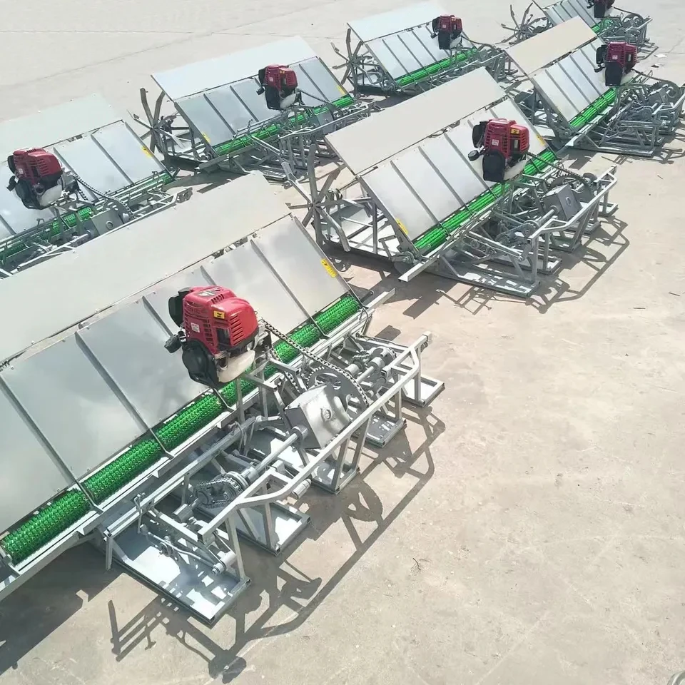 High Quality 6 Row Walking Behind Rice Transplanter /Paddy Planting Machine Rice Transplanter