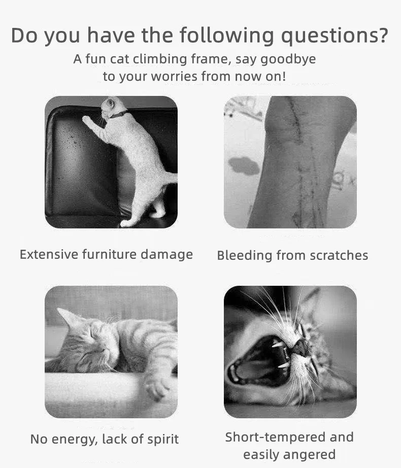 High Quality Plush Sisal Cat Tree For Cats To Play With Cat Climbing Frame Buy Cat Accessories