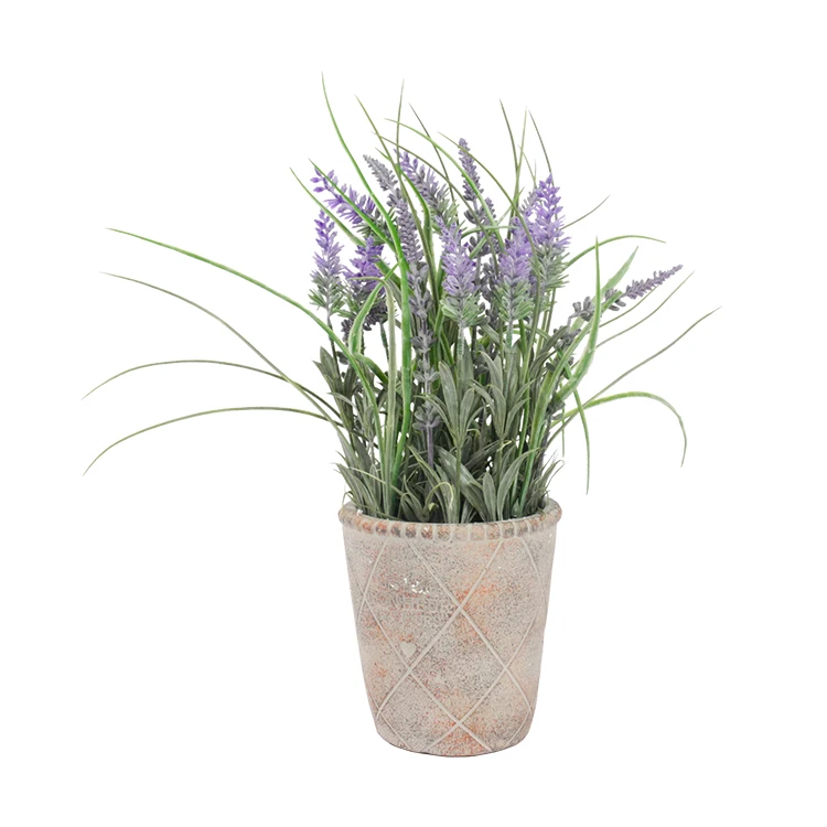 Hot Sale Decorative Flowers And Plants Lavender Flowers Bonsai Lavanda Flor  Boda Lavanda Artificial Ramo De Lavender - Buy Lavender,Decorative Flowers  And Plants,Lavanda Bomsai Product on 