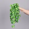 Hojas de batata colgando, verdes con puntos blancos 1.