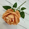 Arancione chiaro