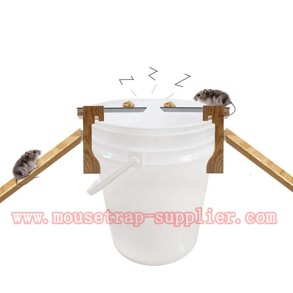 Humane Walk the Plank Auto Reset Catcher Rat Rodent Killer Mouse Trap