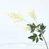 Astilbe chinensis bianco