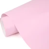 Matte Begonia Powder
