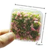 colorful Pink - mo small box pack