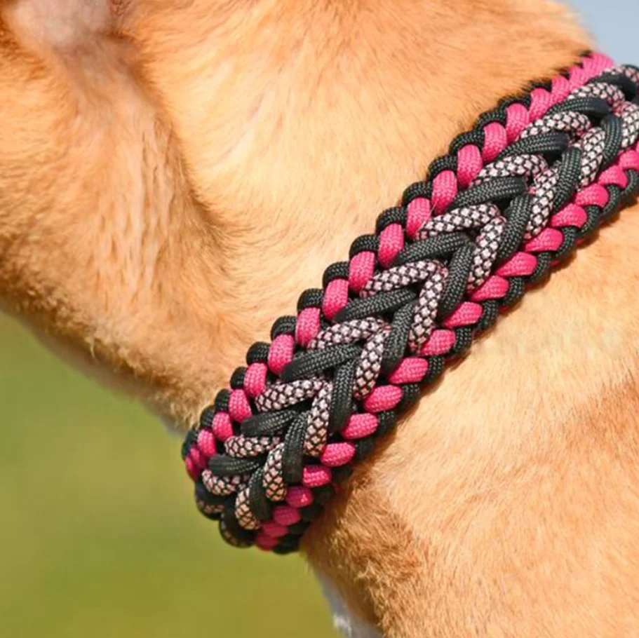 hundebett kunstleder orthopdisch Orthopdisches Hundebett Leder
