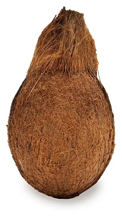7119+IsyJsL._SY741_.jpg