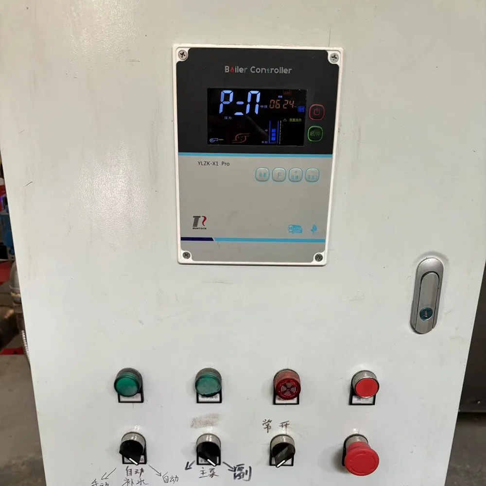 Steam Boiler, Natural Circulation - detail 6
