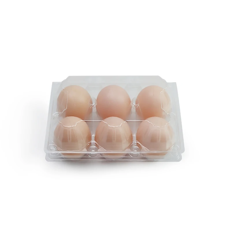 China Manufacturer Chicken Plastic Biodegradable Packaging Egg Carton Tray