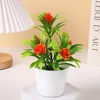Orange-red round leaves