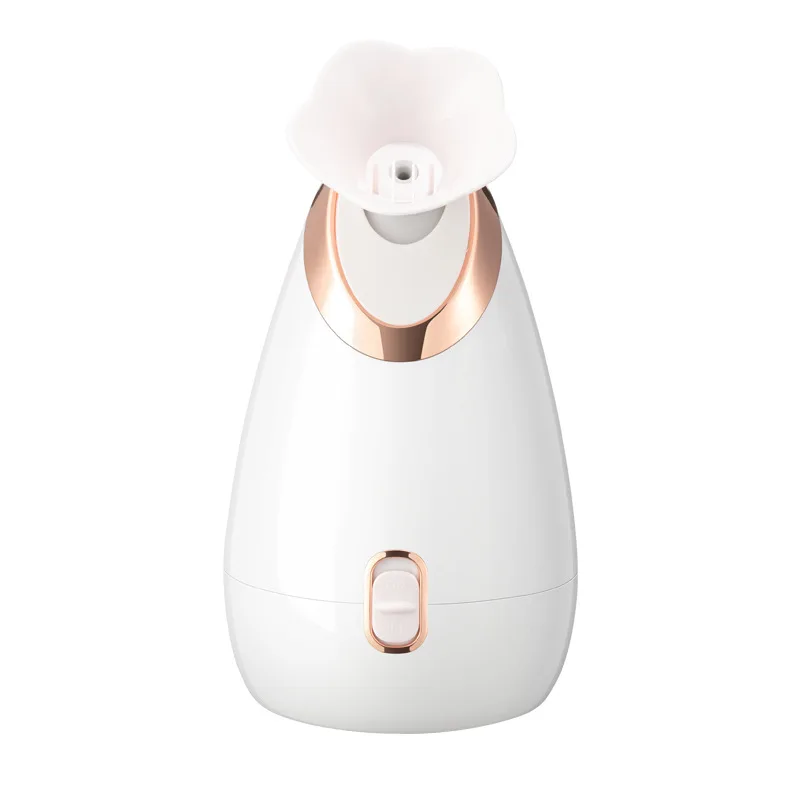 facial steamer (4)