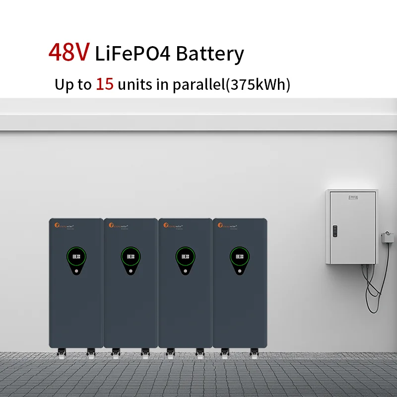 51.2V Lithium Battery Manufacturing 48v Lithium Ion Battery Pack Battery and Solar