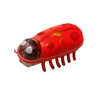 Glowing ladybug red black