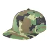 Camo1