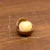 5#Macadamia nut 1