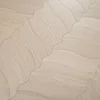 Hoja - Roble