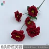 6-headed budding hibiscus XY red