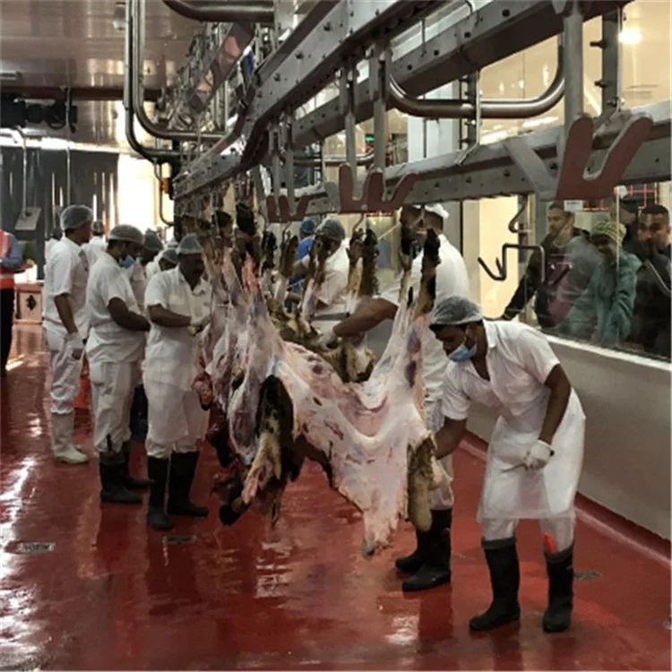 Customized halal mutton slaughtering process sheep slaughterhouse