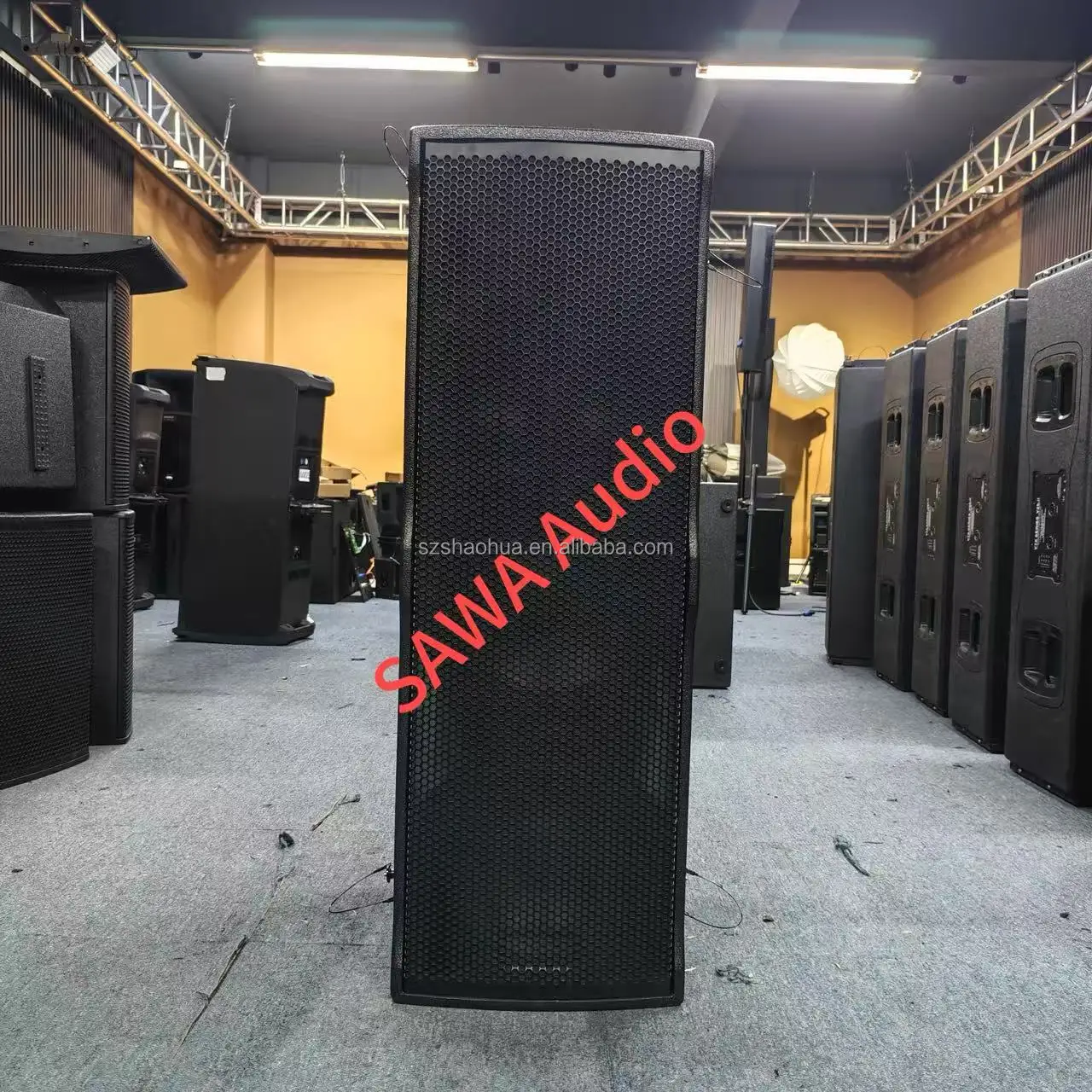 TTL 6-A Dual 12 Inch 3 Ways Active Line Array Speaker Module