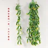 1 meter long, 16 cucumbers with leaves
