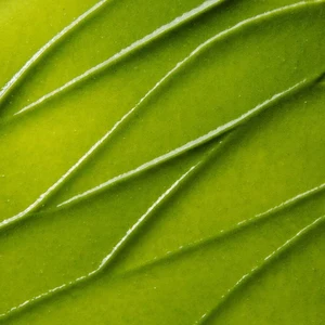 OEM ODM Manufacturer Dual Acid Facial Scrub Smoothing Cleansing Skin for Face Body Use