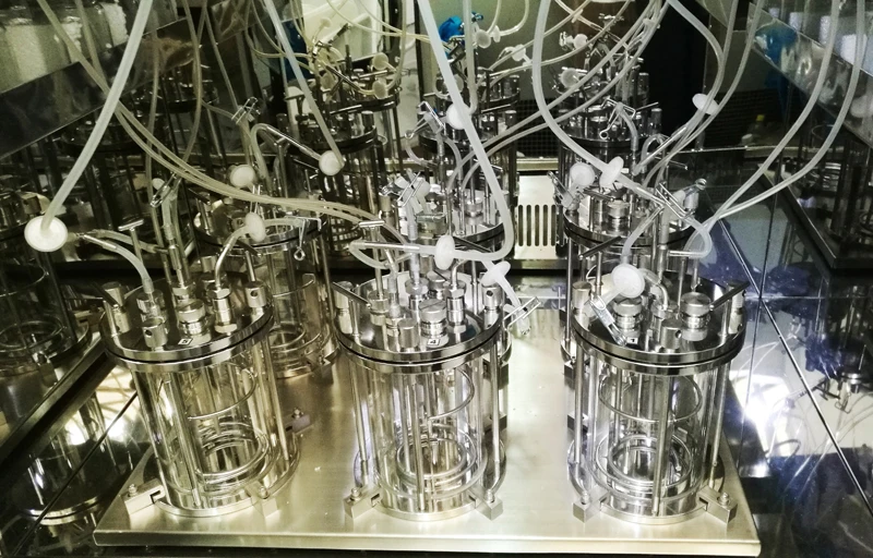 6x2 литра 6x2000 мл клеточный культиватор