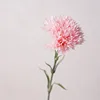 สีชมพู