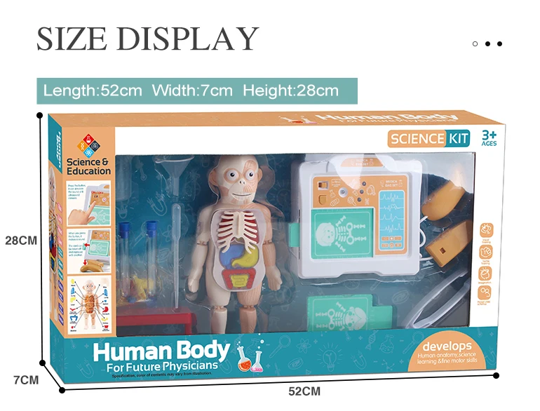 Montessori Toys Anatomy Human Body Science Kit Organs Experimental Set