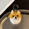 Comme un renard comme un chien