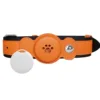Bone style: Orange