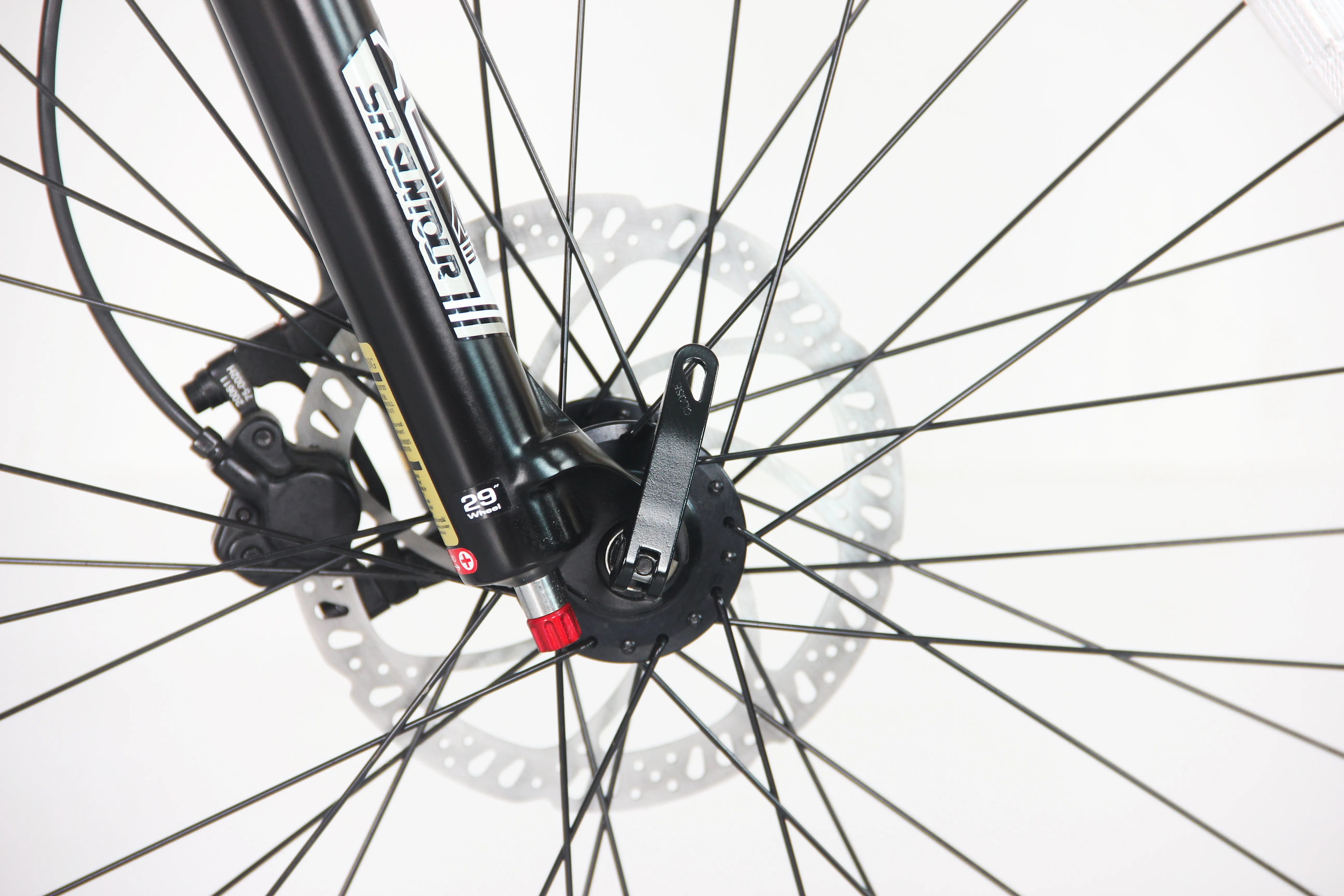 29 Inch Electric Mountain Bike Europe Mtb Ebike Double Suspension Ebike