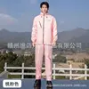 Rose pêche - Mâle