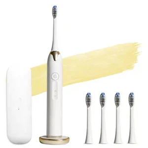 Adult Rechargeable Sonic Electric Toothbrush with LED Indicator Toothbrush Manufacturer