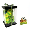 Brazil Bear+Gift Box+Greeting Card