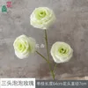 Three-headed Bubble Rose XWJ Light Green